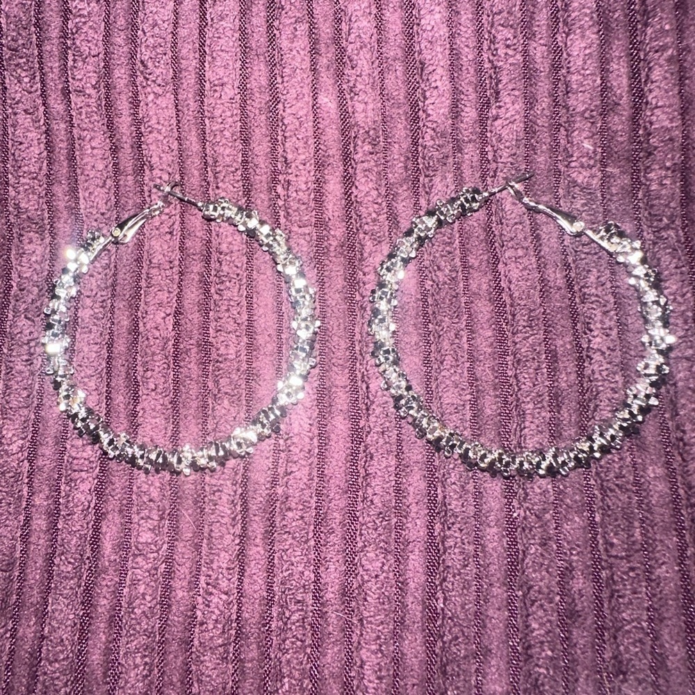 Elegant Silver Hoop Earrings